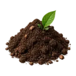 A mound of dark garden soil with a green seedling.