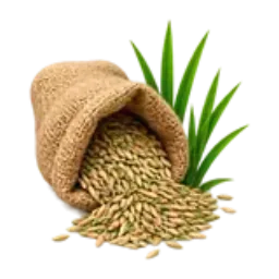 An open paper bag spilling grass seed beside green blades.