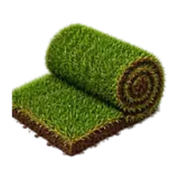 A roll of green sod partly unrolled over soil.